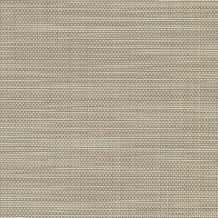 Stucco, Phifer SunTex 90 fabric colorway